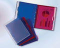 Organiser Subject A4 - For Binders B/Tone Pk5 Asst.