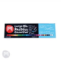 Crayons Micador Oil Pastels Large 24'S