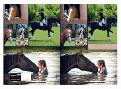Book Jacket Spencil 9X7 Exercise Horses