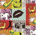 Book Jacket Spencil A4 Bam