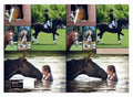 Book Jacket Spencil A4 Horses
