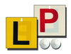 Plate Driver P & L Reverseable (With Suction Cup )