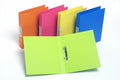 Binder B/Tone A4 3D 25Mm Tropical Hibiscus (Rose Pink)