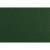 Binding Covers Gbc Ibico A4 Leathergrain Green Pk100