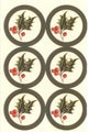 Stickers Geo Xmas Holly & Ivy 48'S