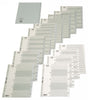 Bantex Dividers A4 Pp 1-31 Grey 6212