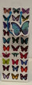 Bag Gift Bottle Ozcorp Butterflies