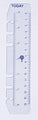 Dayplanner Refill Debden Today Ruler Dk1008