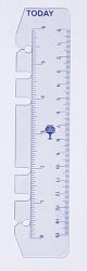 Dayplanner Refill Debden Today Ruler Dk1008