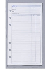 Dayplanner Refill Debden Meetings 96X175 Pr2009