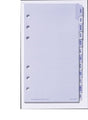 Dayplanner Refill Debden Jan-Dec Tabs Pr2010