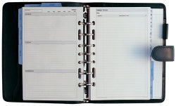 Dayplanner Organiser Debden Black Zip Dk3299