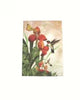 Notebook C/Land A6 Case Bound   Hummingbird 2