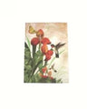 Notebook C/Land A6 Case Bound   Hummingbird 2