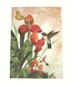 Notebook C/Land A5 Case Bound  Hummingbird 2