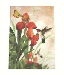 Notebook C/Land A5 Case Bound  Hummingbird 2