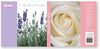 Notelet Set Ozcorp Lavender & Rose (8Crds/Env)