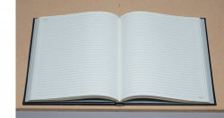 Journal Debden Executive Ruled 2900.U99