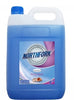 Liquid Hand Wash Northfork 5L Pearl Blue