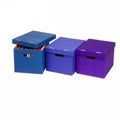 Archive Box Marbig Sto Away Asst Colours Pk2