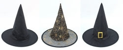 Witch Hat Halloween Adult Basic