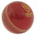 Cricket Ball   Leather
