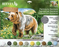 Paint By Numbers Reeves Large Brown Bear