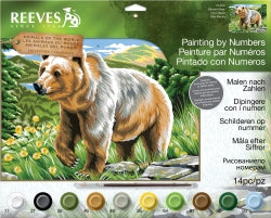 Paint By Numbers Reeves Large Brown Bear