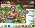 Paint By Numbers Reeves Large Orangutan
